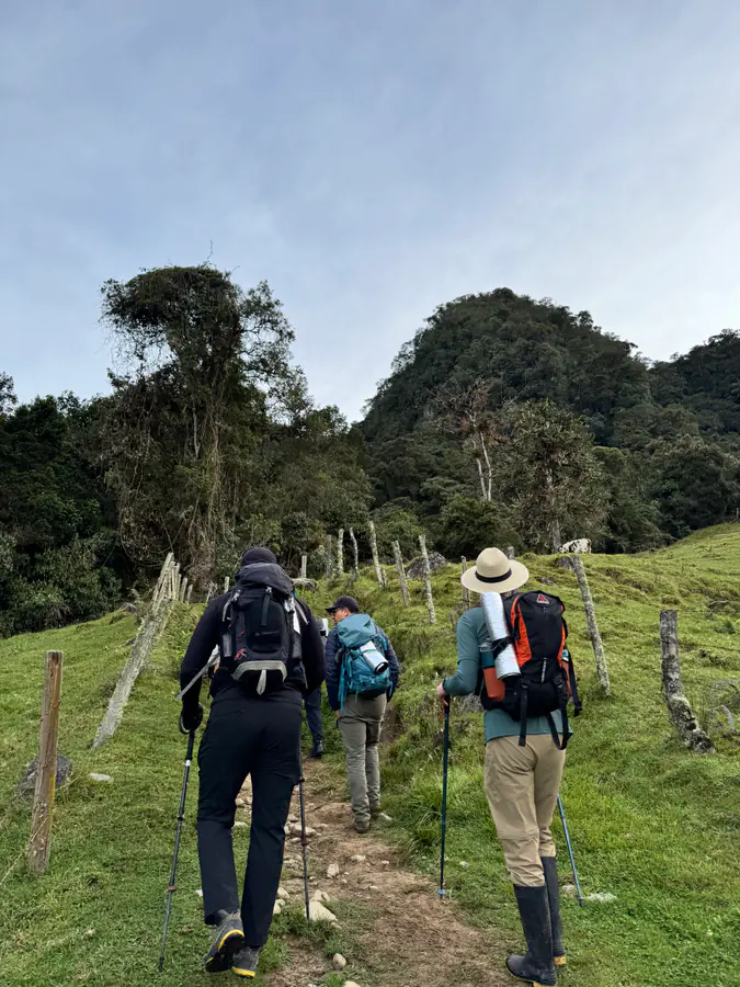 Grupo caminando con bastones por una ladera verde durante la ruta